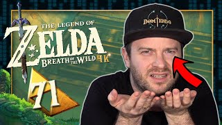 THE LEGEND OF ZELDA BREATH OF THE WILD 🌳 #71: Über Hauttyp-Hate im südlichen Irrschloss