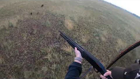 Kubecka Flying Service Helicopter Hog Hunting: Jan...