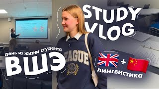 : study vlog:    //     - // , 