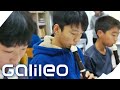 Waldorfschule International: Wie das Konzept in Südkorea ankommt | Galileo | ProSieben