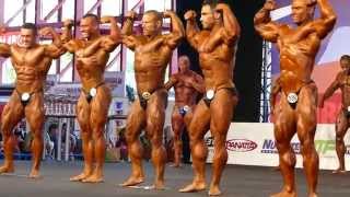 1St Callout - Prejudging - Under 90Kg - Arnold Amateur Europe 2014