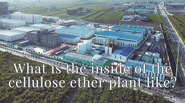 Explore Cellulose Ether Factory: How are high-quality products produced? #hpmc  #mhec  #hec  #rdp