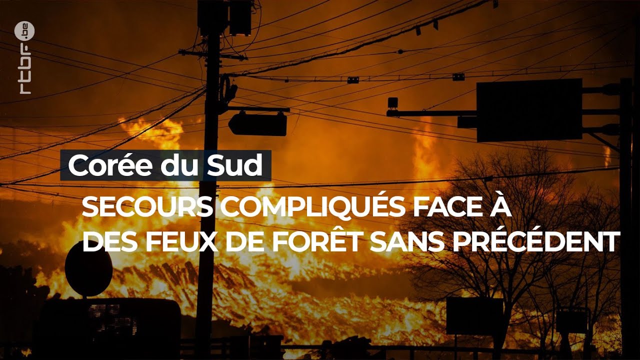 Feux de forêt en Corée du Sud : 24 victimes et des secours difficiles - RTBF Info