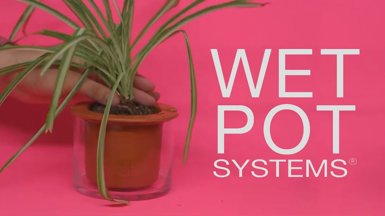 Wet Pot Systems The SelfWatering Plant Review YouTube