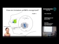 D. Stanek - SnRNP biogenesis and quality control