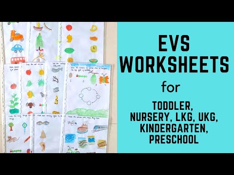 evs worksheets for nursery lkg ukg 3 5 years old