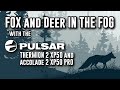 Foxing and Deer in the Fog with Accolade Pro and Thermion 2 XP50