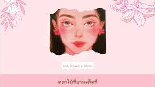 love blossom - Dept ft will Jay, Kelsey kuan | thaisub | #เบบี้ซับ