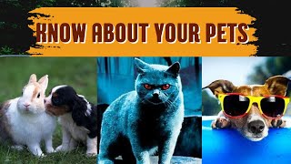 Cute Dogs | Cute Puppies for family | Cute Pets For Home | Cute Puppies for Home | Dogs Breed by PETS CANDY 9 views 1 year ago 2 minutes, 25 seconds