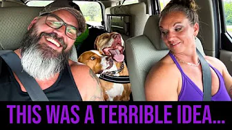 Camping with Dogs: A Peaceful Disaster