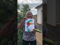 ¿El pepino dibujado por la abuela se parece? #pepino #abuela #vida rural