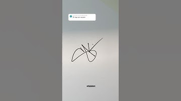 SK | Signature Name Request |  #signature #calligraphy #art #artbyjadmerc