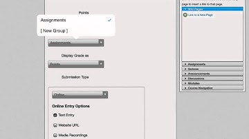 Canvas Create an Assignment with Text Box