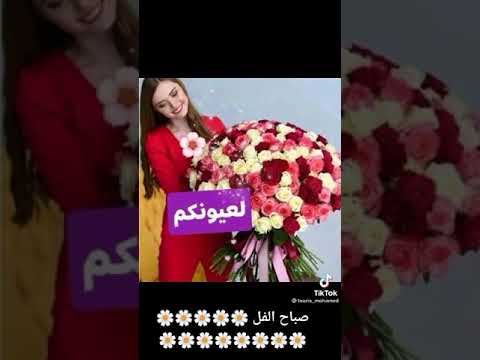 صباح الخير