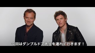 『ファンタスティック・ビーストと黒い魔法使いの誕生』来日グリーティング映像