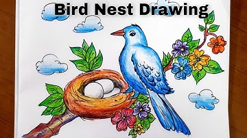 Simple Bird 🕊Nest drawing/Easy Bird painting step by step/how to draw Nest and bird