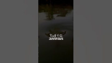 #اللهم_صل_وسلم_على_نبينا_محمد #تلاوة_خاشعة #اكسبلور #قران_كريم #راحة_نفسية #متابعه