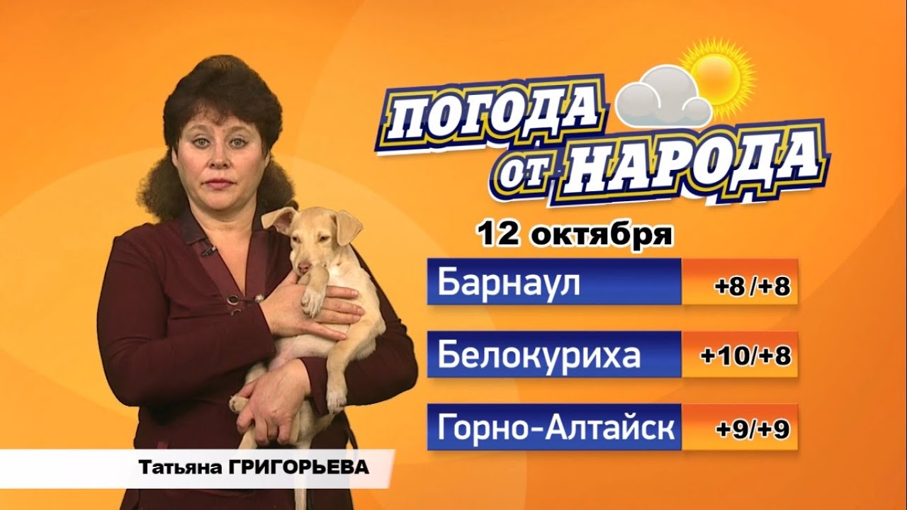 Погода бийск сегодня по часам. Погода в Бийске. Погода в Бийске на 10 дней самый точный. Погода в Бийске на 10 дней точный. Погода в Бийске на 14 дней.