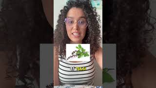 5 Natural supplements for burnout &amp; brain fog ✨🧠