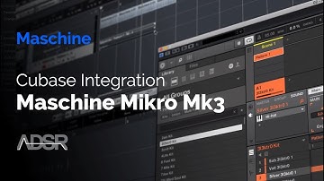 Cubase & Maschine Mikro MK3 Integration