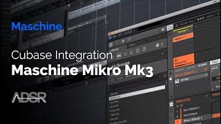 Cubase & Maschine Mikro MK3 Integration