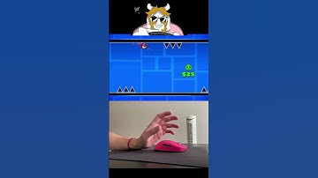 10 Levels of Spider Difficulty