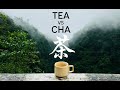 Why the World Only Has Two Words for Tea