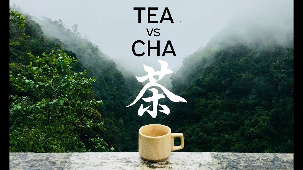 Why the World Only Has Two Words for Tea YouTube