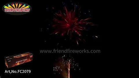 Art No: FC2079 1 inch 100 Shots Cake Fireworks From Liuyang Factory