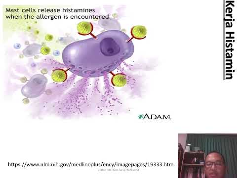 HISTAMIN, ANTIHISTAMIN DAN ANTI ALERGI