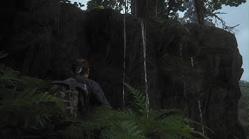 The Last of Us Part II Through The Map Glitch