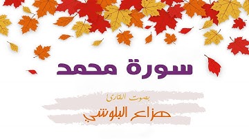 سورة محمد - بصوت القارئ هزاع البلوشي