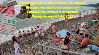 картинка: Дельфин от начала до конца!  Где отдыхают лежаки? Цены на жилье и в Восточном. Лазаревское 01.08.25