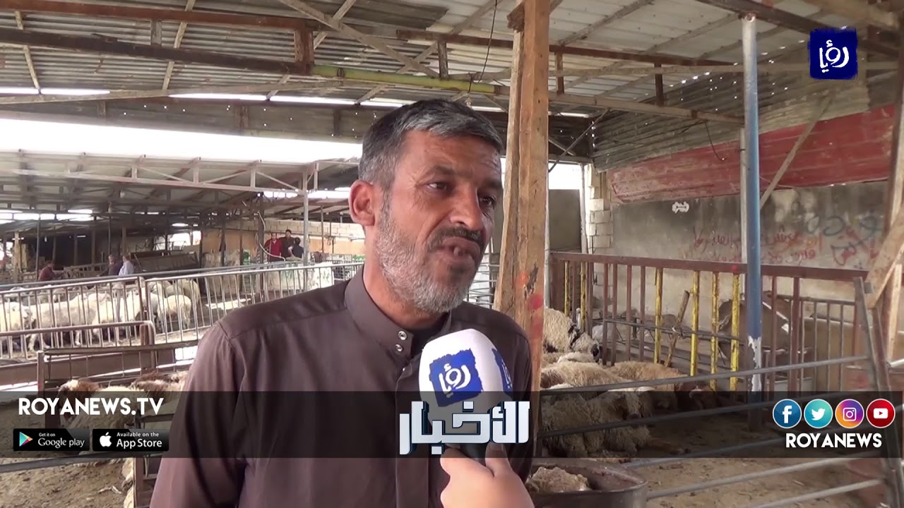 مطالبات بضرورة تأمين مكان بديل لسوق الحلال بلواء الرصيفة قبل ترحيله - (8-6-2018)