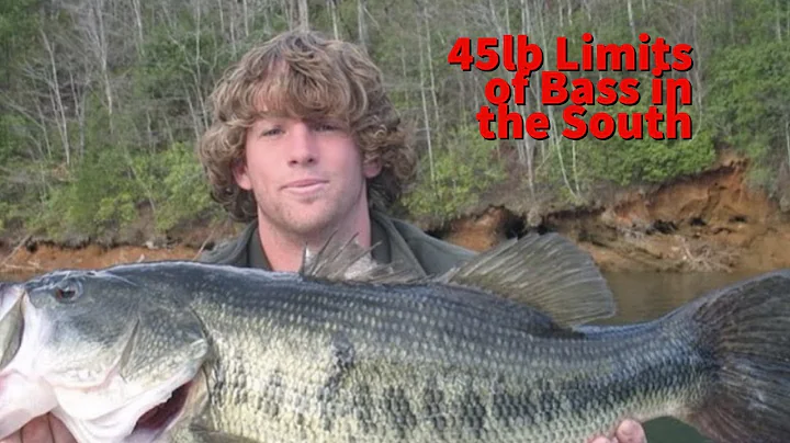 BBD Podcast Episode 13 Jeremy Pratt part 2