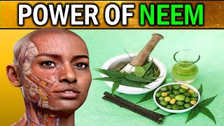 14 Health Benefits of NEEM : Discover Natures Healing Secrets screenshot 1