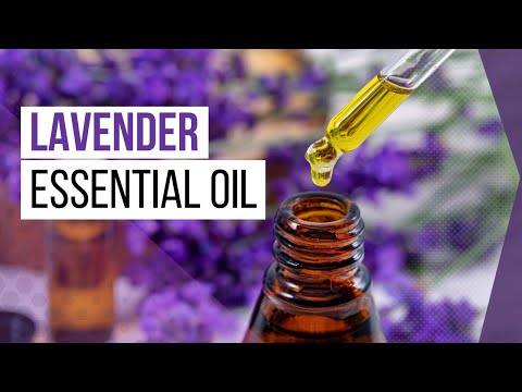 Video: Bolehkah anda makan stoecha lavender?