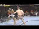 Forrest Griffin UFC highlights