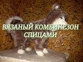 Вязаный комбинезон для собаки или кошки спицами