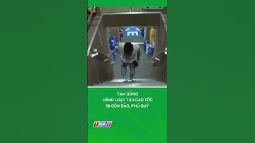 Tạm dừng hàng loạt tàu cao tốc đi Côn Đảo, Phú Quý #shorts