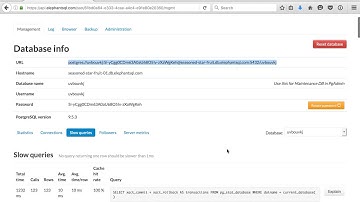 ElephantSQL simple instance overview