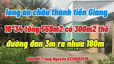 Tập 175: Bán đất thổ cư long Thới long an châu thành Tiền Giang