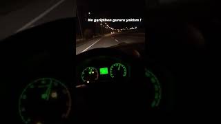 Araba Snapleri - Skoda