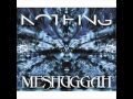 Meshuggah - Nebulous HQ (360bps)