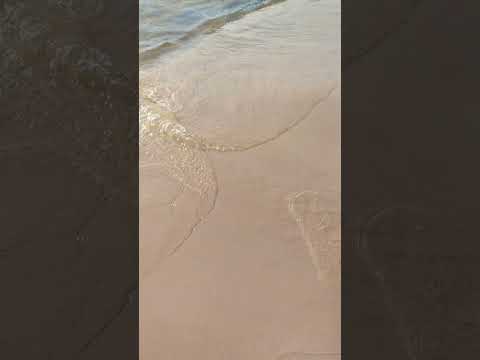 magnificent fresh waters
