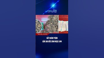 Bắt nhóm trộm gần 300 gốc sâm Ngọc Linh