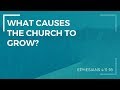 What causes the church to grow  david shannon