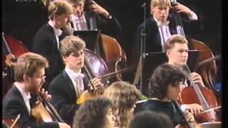 Leonard Bernstein in Salzau - Schostakowitsch Symphonie Nr. 1 (VHS)