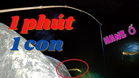 SUỐI CỰC KỲ NHIỀU CÁ, CỨ 1 PHÚT CÂU ĐƯỢC MỘT CON CÁ NHEO SUỐI | BẢN LÀNG MIỀN NÚI