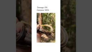 Cute meme#1 #trending#youtube#shorts#cute#animals
